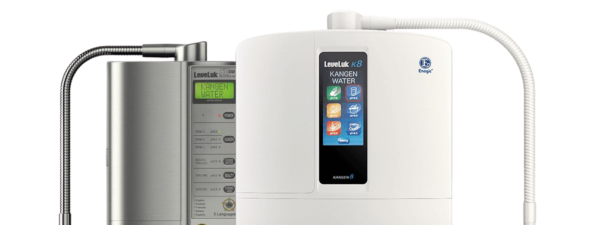 Kangen Water Machine: What to Consider Before Buying – The Goodfor Company