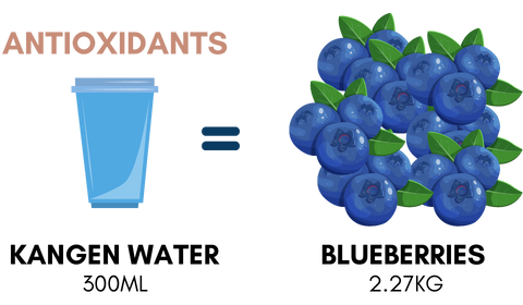 A 300ml cup of Kangen Water has the same amount of antioxidants as 2.27kg of blueberries