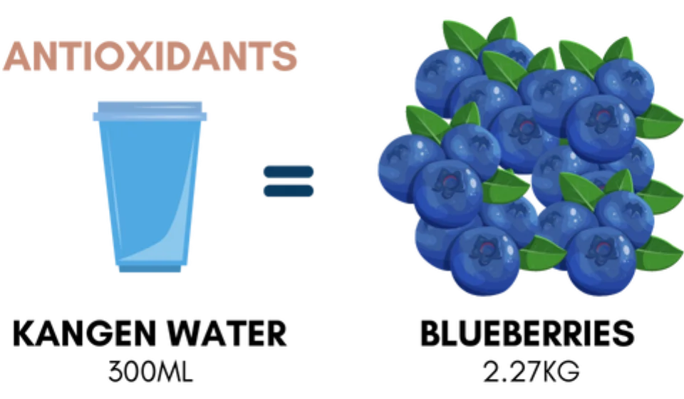 Infographic showing that a 300ml cup of Kangen Water has the same antioxidants as 2.27kg of blueberries