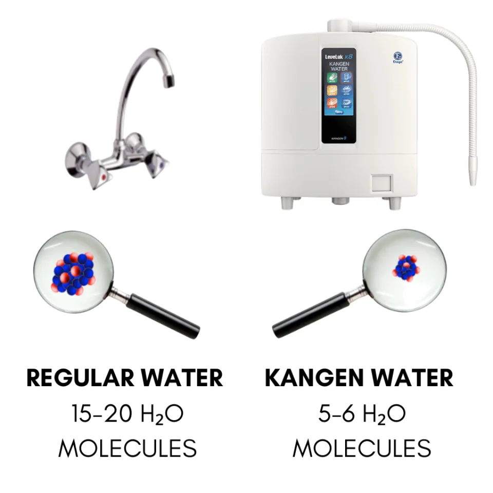 Diagram comparing water molecule cluster size in Kangen Water versus regular tap water, illustrating why Kangen Water is absorbed more easily